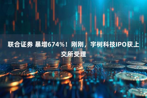 联合证券 暴增674%！刚刚，宇树科技IPO获上交所受理