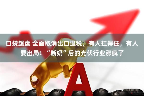 口袋超盘 全面取消出口退税，有人扛得住，有人要出局！“断奶”后的光伏行业涨疯了