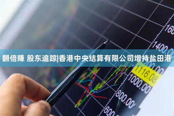 翻倍赚 股东追踪|香港中央结算有限公司增持盐田港